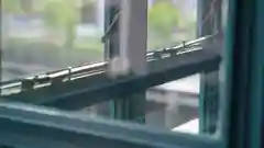 A close-up view of a modern double-glazed window pane slightly open, showing the white frame and window latch.