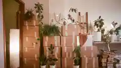 A room filled with stacked cardboard moving boxes surrounded by various potted indoor plants.