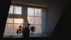 A potted plant silhouetted on a window sill against a golden sunset.