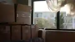 Several cardboard boxes stacked up inside a room next to a sunlit window.