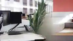 A man in a white shirt sits working on a black laptop inside of a well lit office building