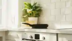 A vibrant green potted plant sits on a sleek modern kitchen bench next to a black frying pan on an induction cooktop.
