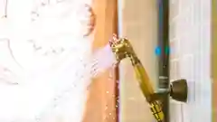 A gold-toned shower head spraying water against tiled bathroom walls.