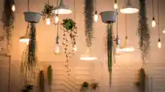 Hanging ceiling lights with plants in pots