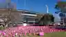 Three women in pink ponchos gather outside of the MCG for the Field Of Women event. They smile happily wearing their bright pink ponchos and hats.