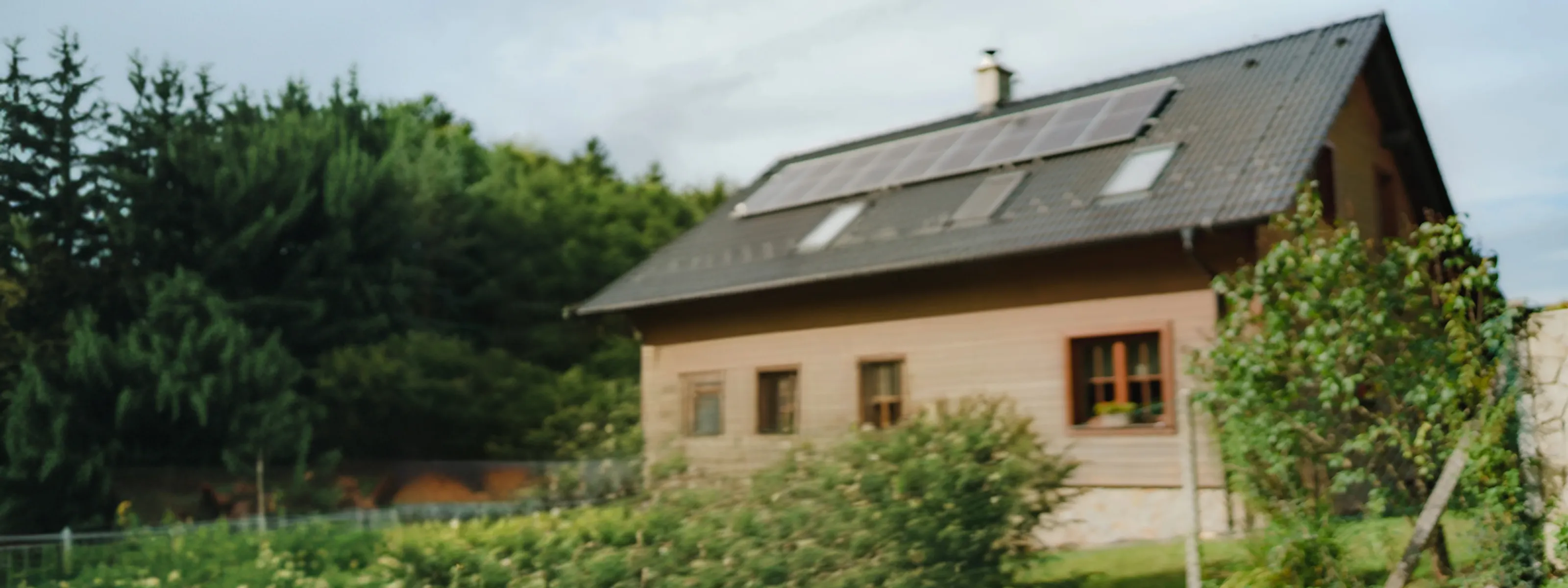 A smiling couple embraces in their garden in front of a wooden house with solar panels on the roof, surrounded by lush green landscaping.