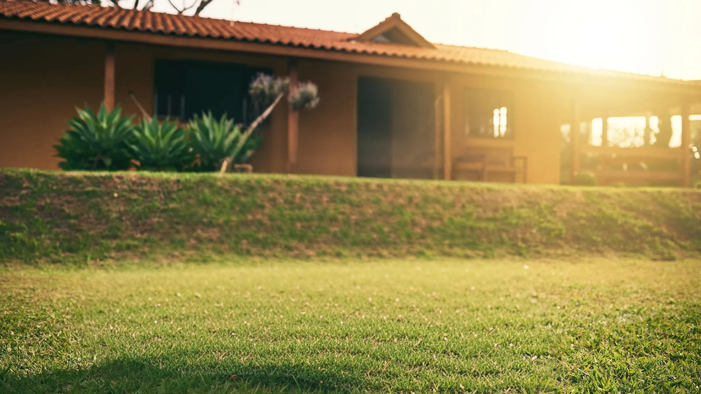 Young family sitting together on the lawn in their backyard