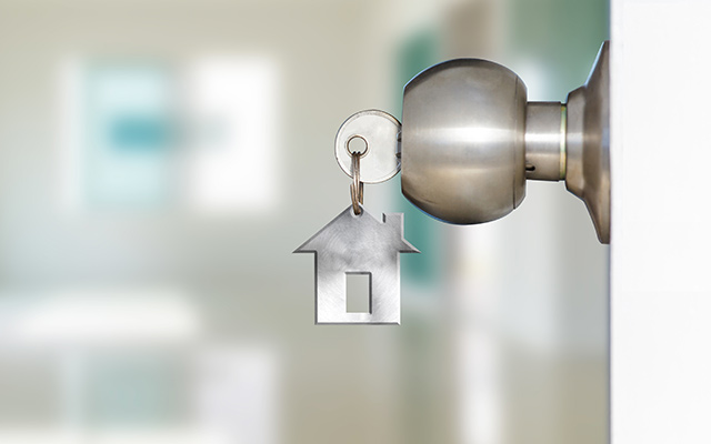 House door lock